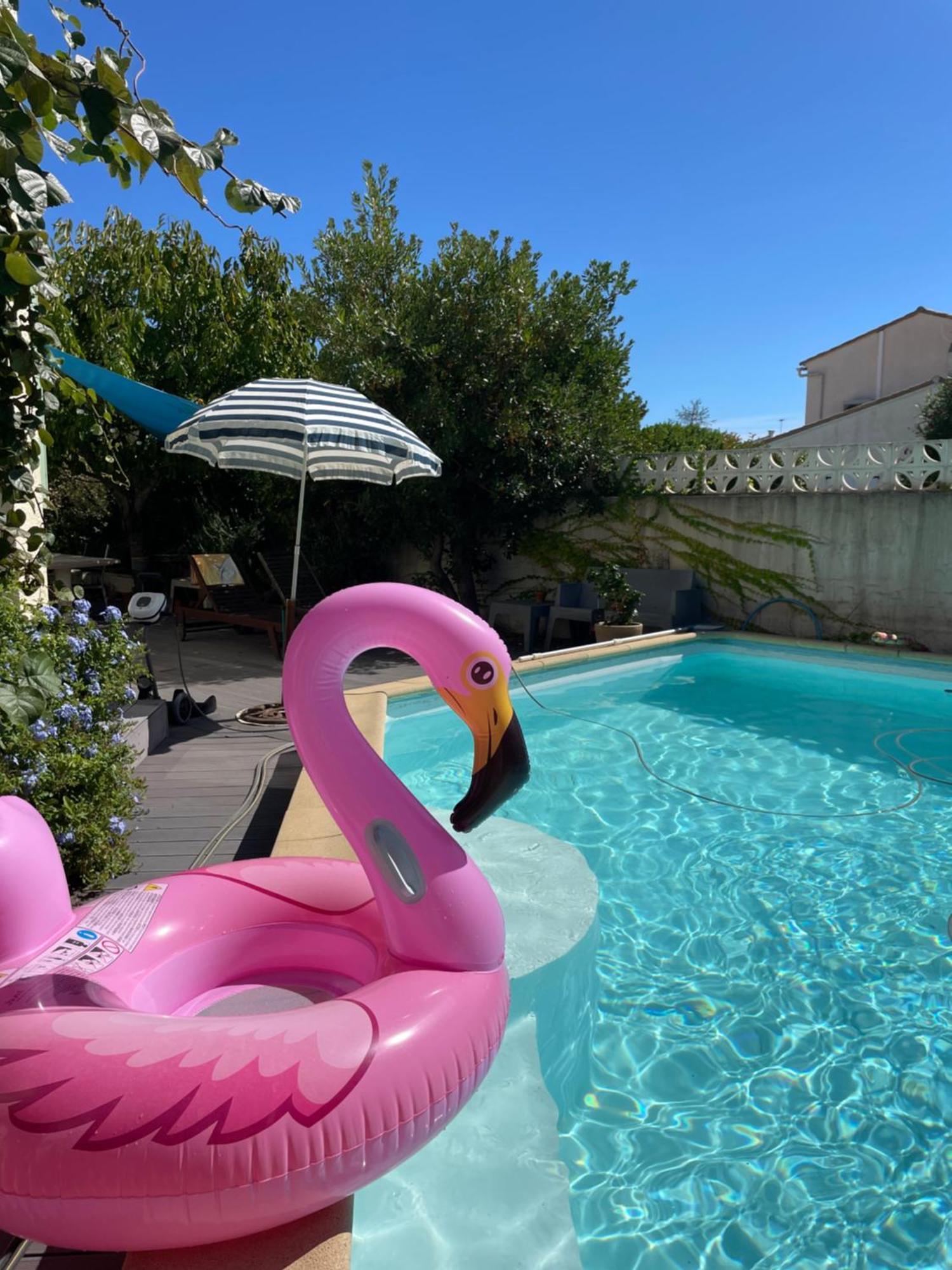 D'hote Dans Du Soleil Lattes